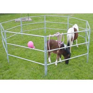 Temporary Garden 1.6m Corral Fencing Panels Animal Husbandry Iron