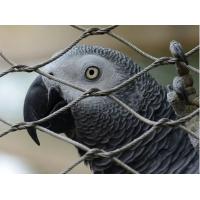 China Anti Corrosive 306 316 Stainless Steel Mesh For Bird Aviary Netting on sale