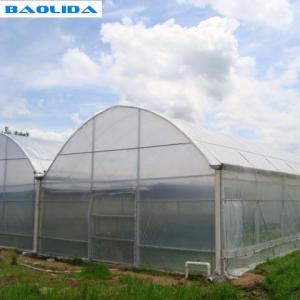 Grape Multi Span Greenhouse With Grape Trellising System To Malaysia