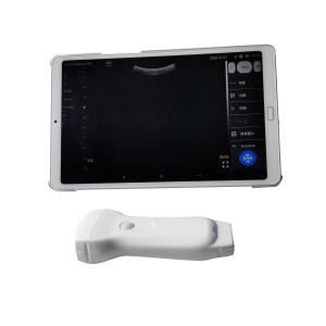 China Wireless Android/ios Usb Ultrasound Probe Dual Head Ultrasound Scanner 3 in 1 Convex Linear Phased Array Pocket Ultrasound wholesale