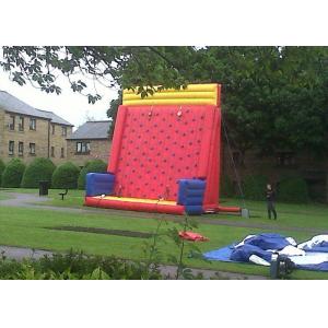 Safety Sports Inflatable Rock Climbing Wall Rentals On The Land With PVC Material