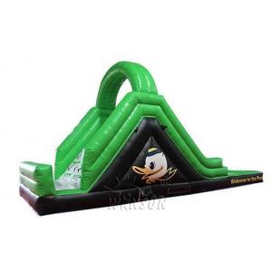 China Green Color Large Inflatable Slide With Pool WSS-247 PVC Material CE Standard supplier