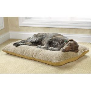 Indoor Memory Foam Cuddler Dog Bed , Grey Mint Medium Memory Foam Dog Bed