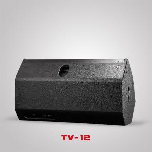 Professioanl 12 inch Subwoofer DJ Equipment Pa System Speaker Box Two way TV-12