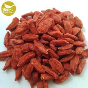 Amorberry China NingXia dried Goji berry High Quality Organic Goji Berries Lycium Barbarum L.