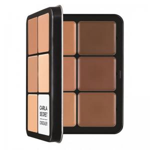 Private Label Makeup Contour Palette Long Lasting  For Daily Makeup