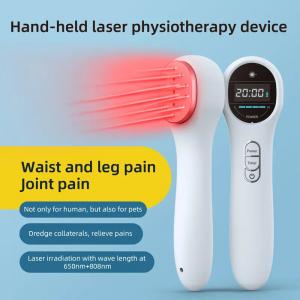 LLLT Handheld Cold Laser Therapy Device 808nm 650nm Physical Treatment