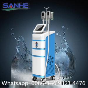 China máquina dando forma fresca do melhor cryolipolysis vertical supplier