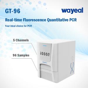 China Real Time Lab Fluorescence Quantitative PCR Analyzer For Nucleic Acid Test supplier
