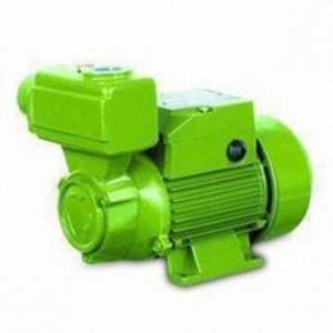 China Domestic Self Priming Water Pumps  0.75HP / 0.55KW  TPS -70 supplier