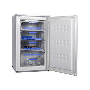 84L Upright Compact Freezer,Small Upright Freezer,Vertical Small Chiller For Freezed Food,Meat,Ice Cream