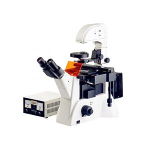 Inverted Fluorescence Biology Lab Microscope Edu Science Microscope 1200x 20X