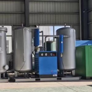 China 60L/min Low-Power Consumption PSA Oxygen Generator for Remote Areas Oxygen Plant Generator wholesale