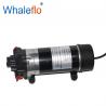 WHALEFLO DP-100M 220v ac 100 psi high pressure electric motor powerful pump