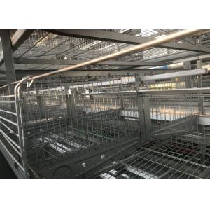 China Linha de água potável automática industrial do bocal do sistema do copo do bebedor supplier