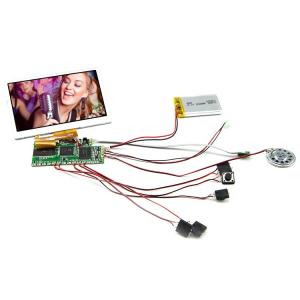 China IPS TFT LCD Panel LCD Video Module for FLV Image Format in Market wholesale