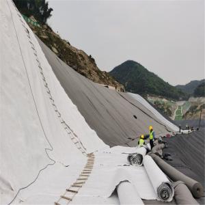 100g/sqm to 800g/sqm Geotextile Fabric for Roads and Railways Polyester Non-Woven Fabric