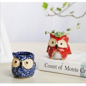 Succulent Plant Mini Ceramic Owl Animal flowerPot