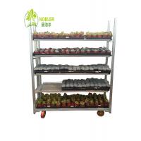 China Hot Galvanizing Seedling Car Germination Car Flower Frame Car Spot Available on sale