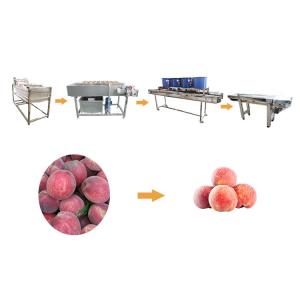 Hot selling Iqf Frozen Vegetable Fruit Washing Blanching Machine Line by Huafood