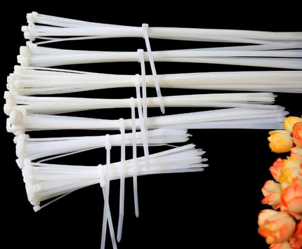 Nylon Cable Tie 10 Series  Zip Wire Cable Ties, Self Locking Nylon Wrap, Plastic Seal, Cable Seal, Meter Seal, Padlock