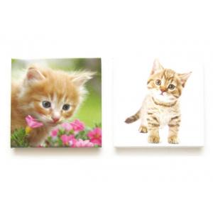 China Children 60 x 60 Square Cat Picture Fridge Magnet with Custom Animal Shaped Eco supplier