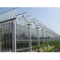 China Low Maintenance Glass Greenhouse for Rectangular Spaces on sale