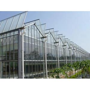 Transparent Glass Enclosed Plant Greenhouse Wind Resistance and Sustainability