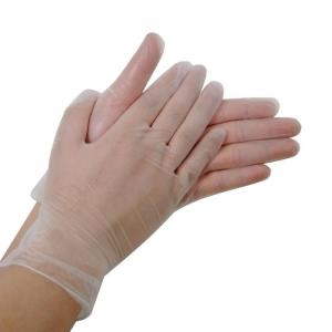 Disposable Latex Free Powdered Vinyl Gloves 100 Pieces Per Box