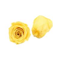 China DIY Golden Yellow Rose Flower Heads 4-5cm For Indoor Decoration on sale