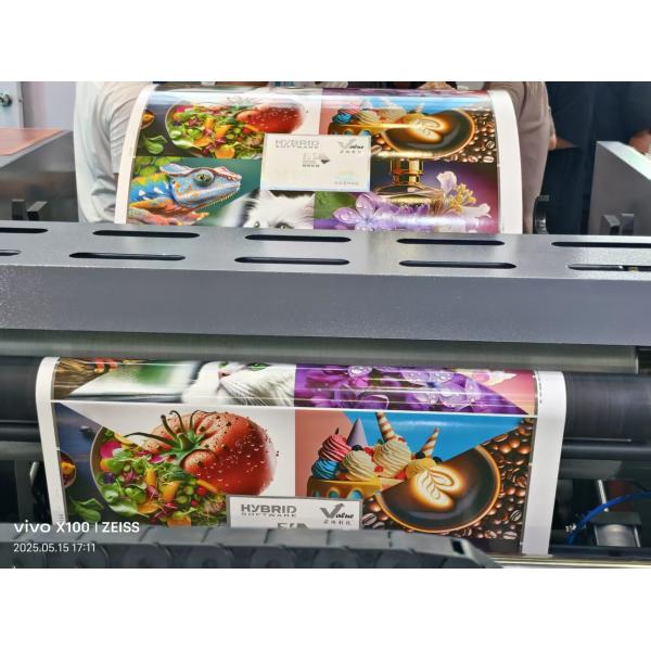 Automatic High Speed 6 Color Uv Flexo Printing Machine Petal Unit Type Flexographic Printing Machine