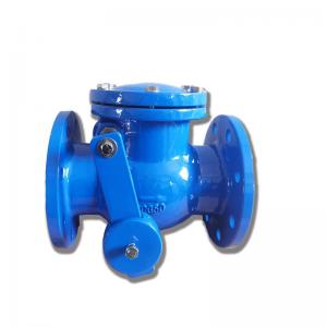 BS5153 JIS Swing Cast Iron Check Valve With Counterweight