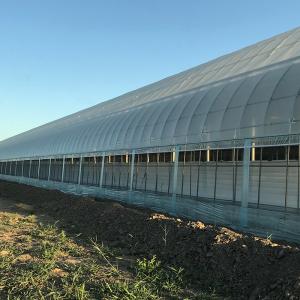 China Water Heating System Korean Mode Film Agricultural Greenhouses for Year-Round Farming supplier