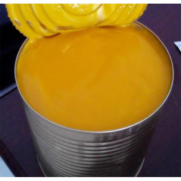 機械10T/H SUS304を作るSiemensの電子制御のマンゴの込み合い