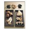 Dried mushroom, ediable mushroom , Dried Agaricus campestris,Dried Shiitake