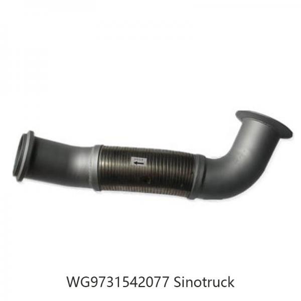 HOWO Truck Part Flexible Exhaust Pipe Stainless Steel OEM Wg9731542077