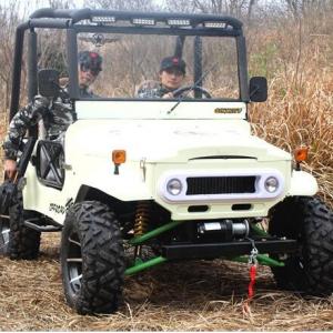 200cc UTV Four-Stroke, 250cc ATV for Adults