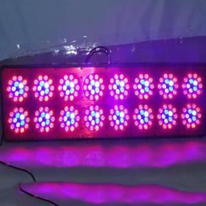 China Hydroponics Indoor Grow Lights led grow light 600w with 240*3w supplier