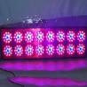 Hydroponics Indoor Grow Lights led grow light 600w with 240*3w