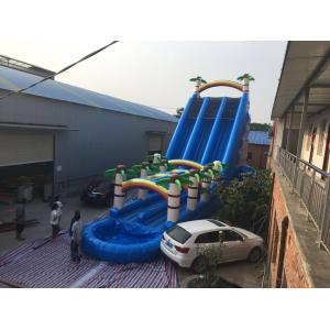 China Coconut Tree Inflatable Double Water Slide With Splash Pool SGS Certificate supplier