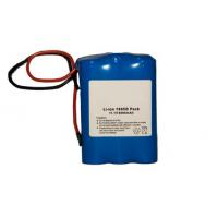 China High Capacity Lithium Ion Battery Packs  on sale