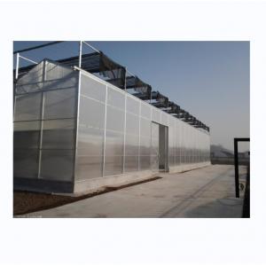 China PC Plastic Polycarbonate Sheet Multi Span Hydroponic Greenhouse supplier