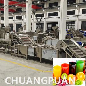 China Customizable 1 - 10T/H Celery Ginger Juice Production Line Squeezing Processing Machine supplier
