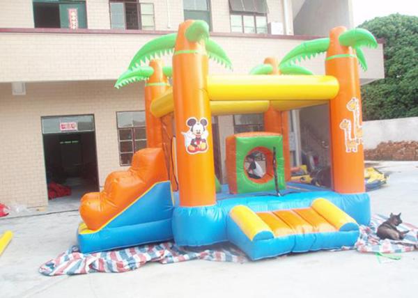 Pequeño castillo animoso inflable de los niños/de los adultos con la naranja de la diapositiva