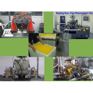 China Máquina de enchimento automática da capsulagem da máquina da capsulagem de Ss316 Vgel wholesale