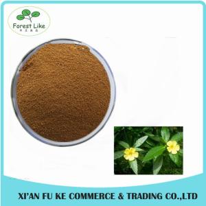 High Quality Damiana Leaf Extract Powder 5:1 10:1 100:1