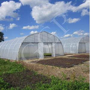 China Classic Standard Greenhouse Tunnel Plastic Sheet Covering Vegetable Growth supplier