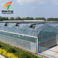 Multifunctional Polyethylene Film Green House Agriculture Modern Film Greenhouse Growing Vegetables