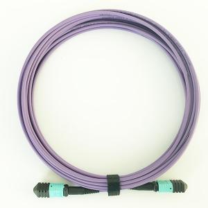 China 12 Cores MPO Patch Cable OM4 50/125μM 3.0mm LSZH Purple For Data Center Cabling supplier