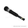 China TS15949 Air Suspension Shock For Audi A8D4 Rear 4H6616001F 4H6616002F wholesale